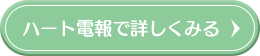 ハート電報で詳しく見る